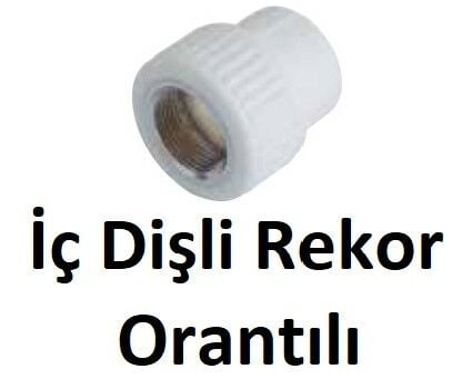 Orantılı İç Dişli Rekorlar